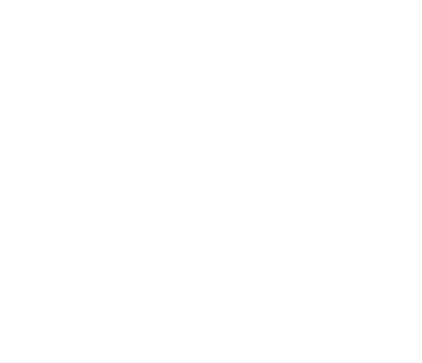 BRUS logotyp